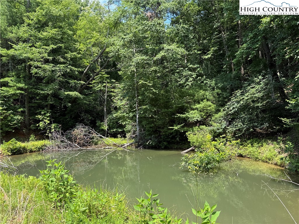 Tbd Staghorn Road Property Photo 2