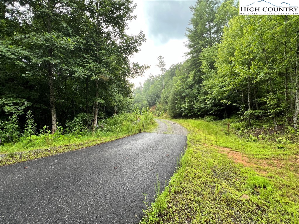 Tbd Staghorn Road Property Photo 4