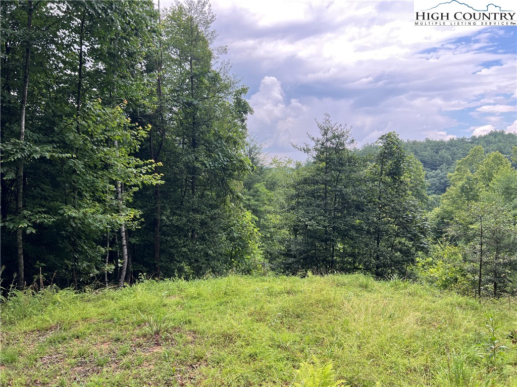 Tbd Staghorn Road Property Photo 6