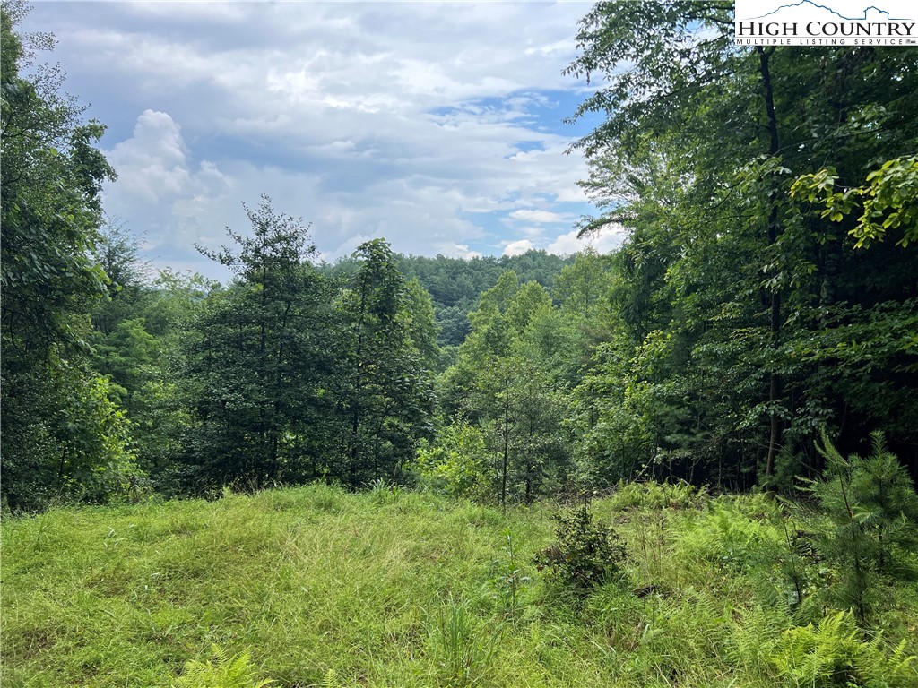 Tbd Staghorn Road Property Photo 7