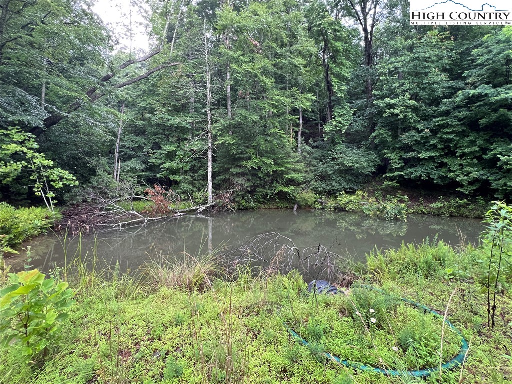 Tbd Staghorn Road Property Photo 8