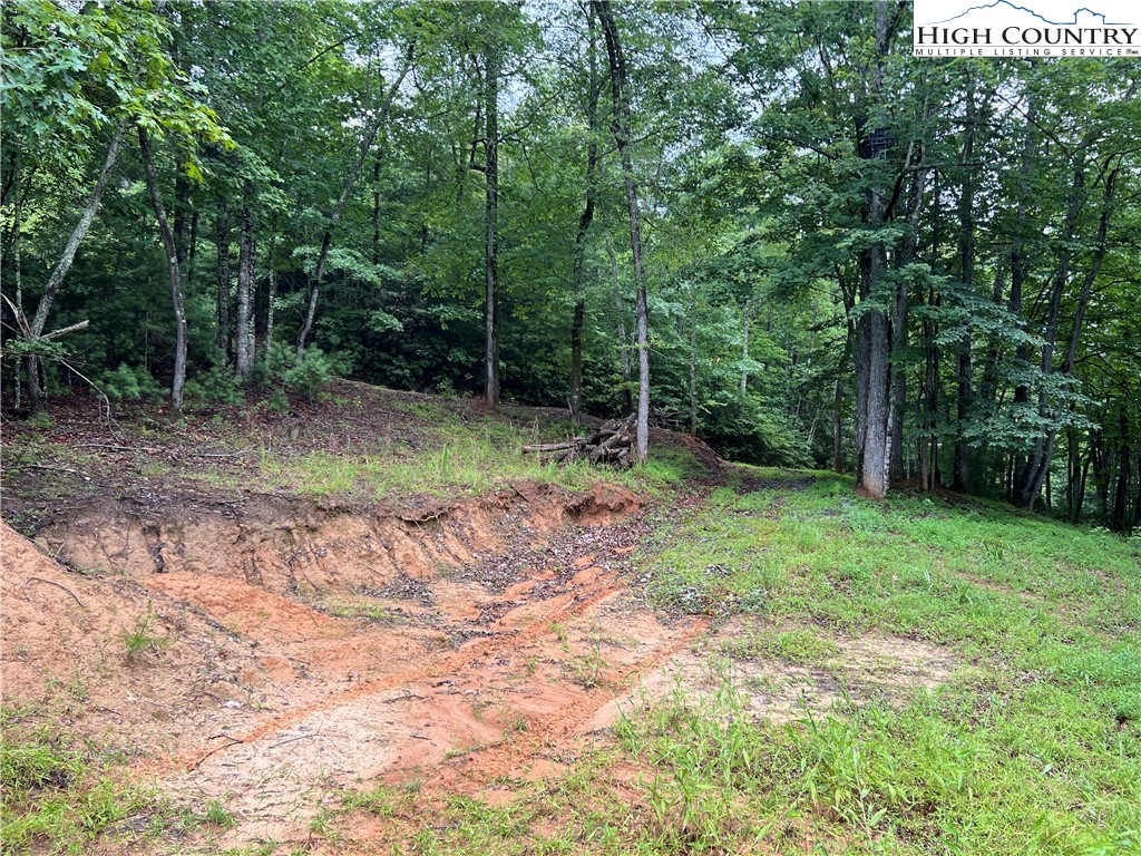 Tbd Staghorn Road Property Photo 9