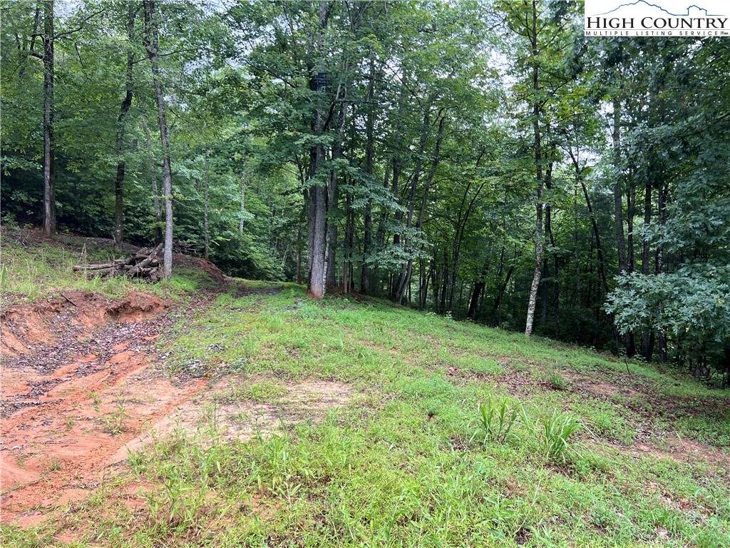 Tbd Staghorn Road Property Photo 10