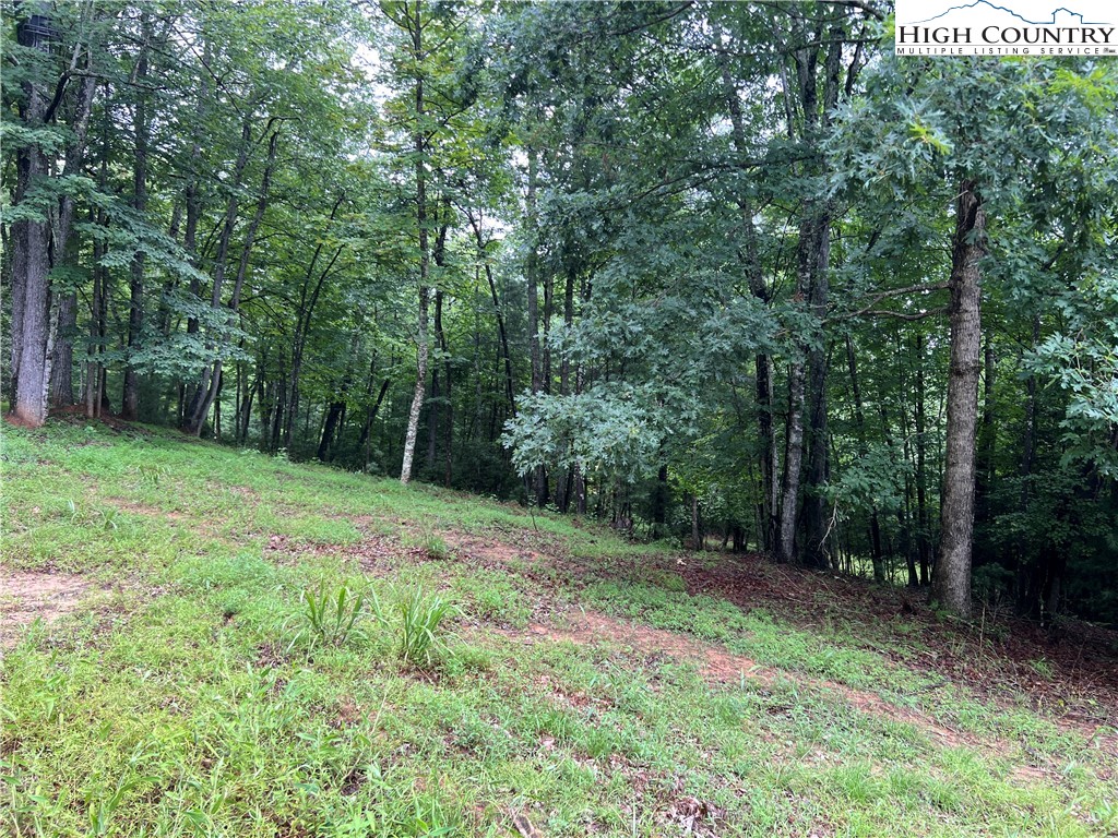 Tbd Staghorn Road Property Photo 11