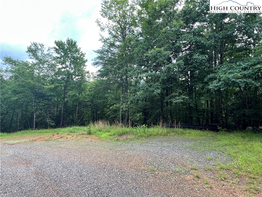 Tbd Staghorn Road Property Photo 12