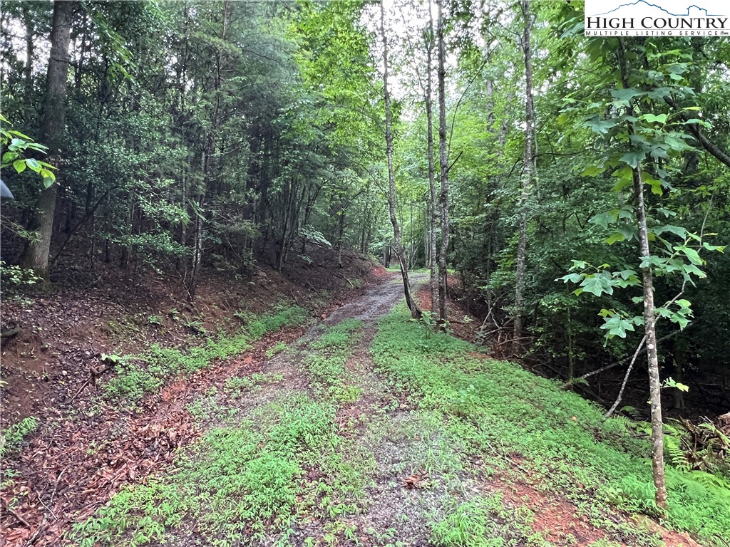 Tbd Staghorn Road Property Photo 13