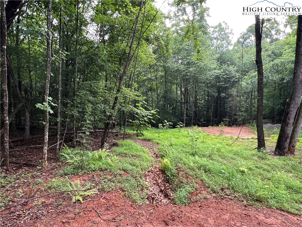 Tbd Staghorn Road Property Photo 14