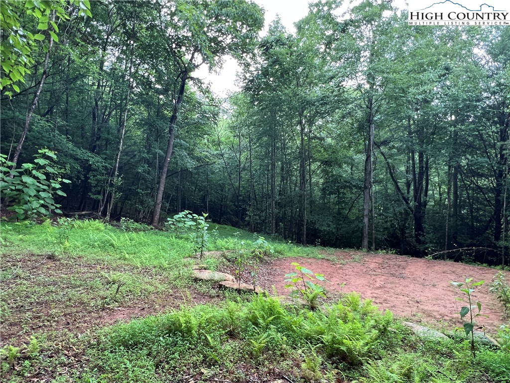 Tbd Staghorn Road Property Photo 17