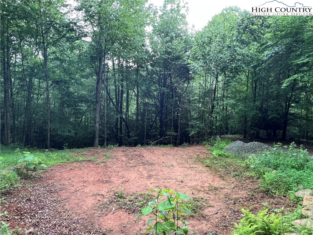 Tbd Staghorn Road Property Photo 18