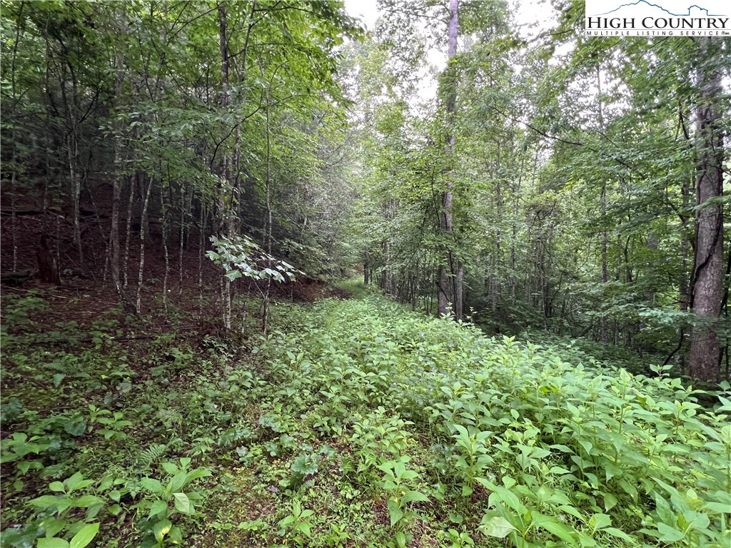 Tbd Staghorn Road Property Photo 19