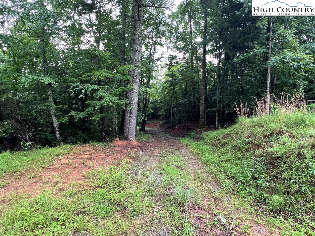 Tbd Staghorn Road Property Photo 20