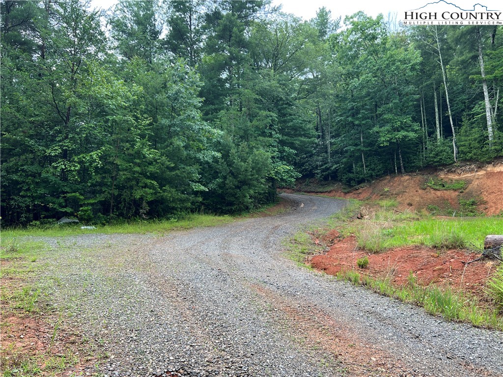 Tbd Staghorn Road Property Photo 21