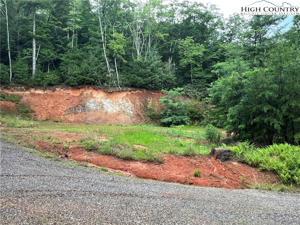 Tbd Staghorn Road Property Photo 22