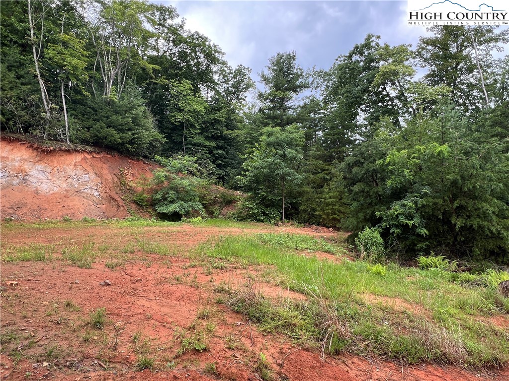 Tbd Staghorn Road Property Photo 24