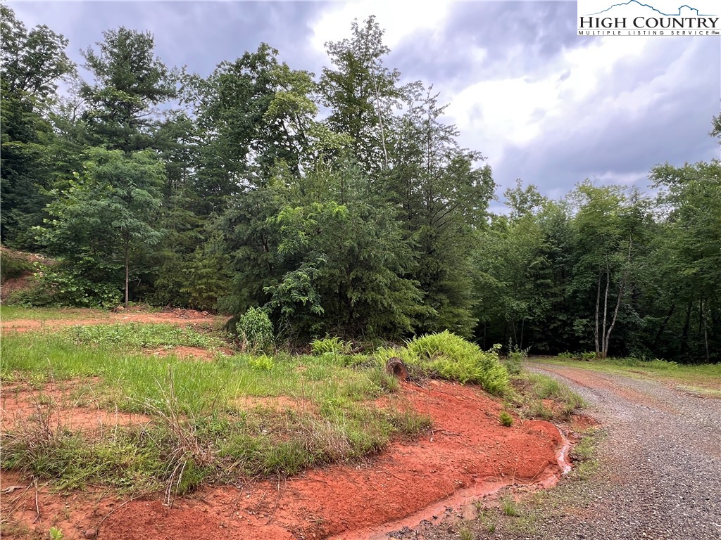 Tbd Staghorn Road Property Photo 25