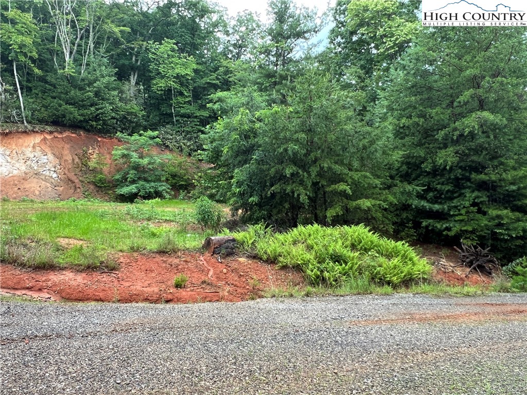 Tbd Staghorn Road Property Photo 26