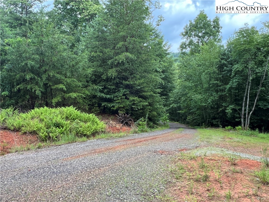 Tbd Staghorn Road Property Photo 27