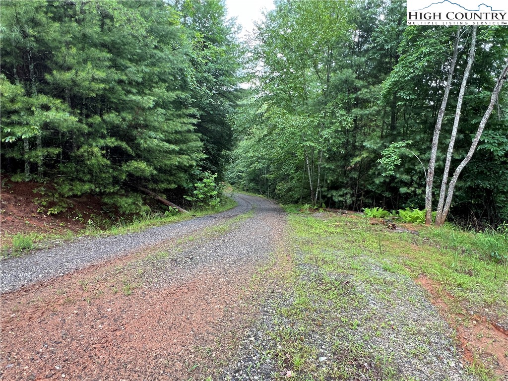 Tbd Staghorn Road Property Photo 28