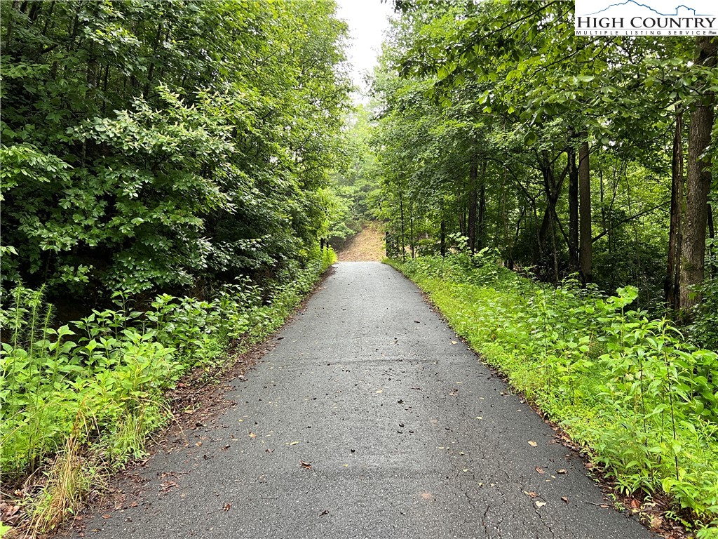 Tbd Staghorn Road Property Photo 29