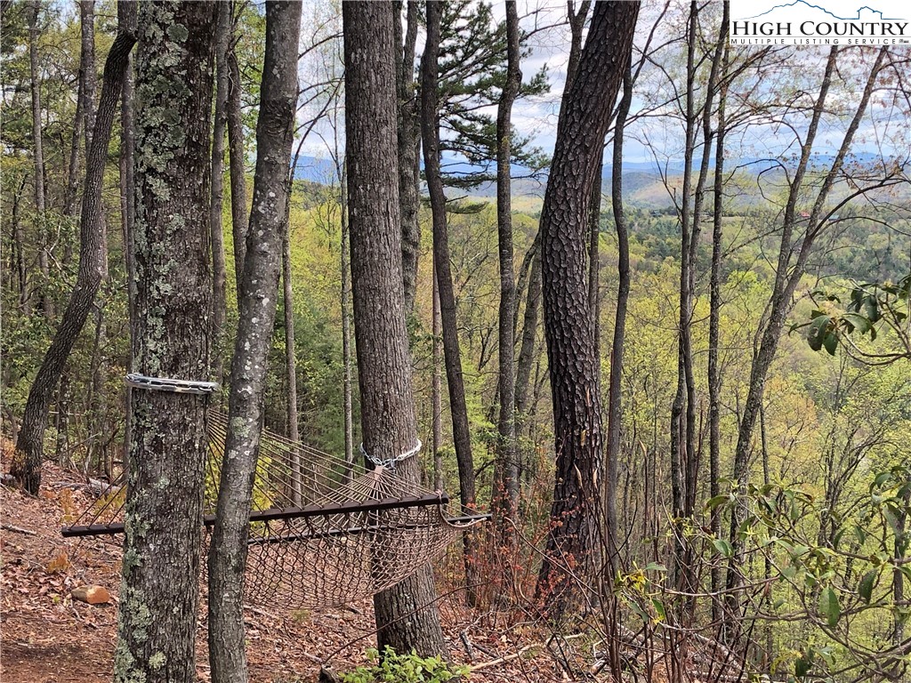 Tbd Staghorn Road Property Photo 39