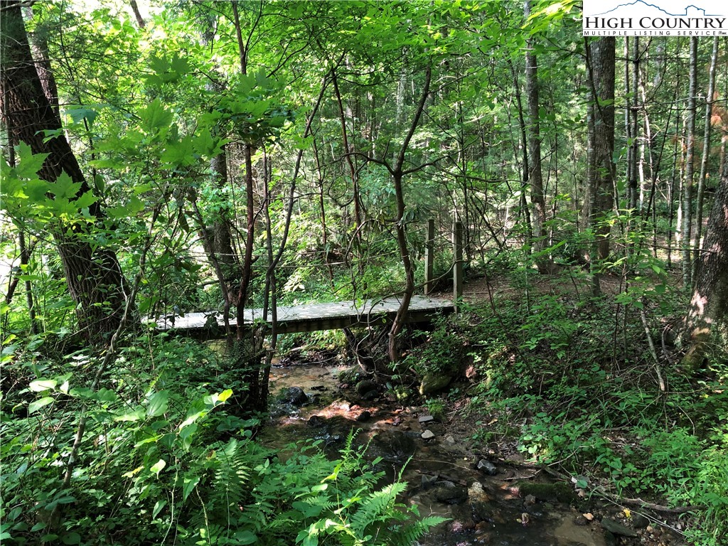 Tbd Staghorn Road Property Photo 43