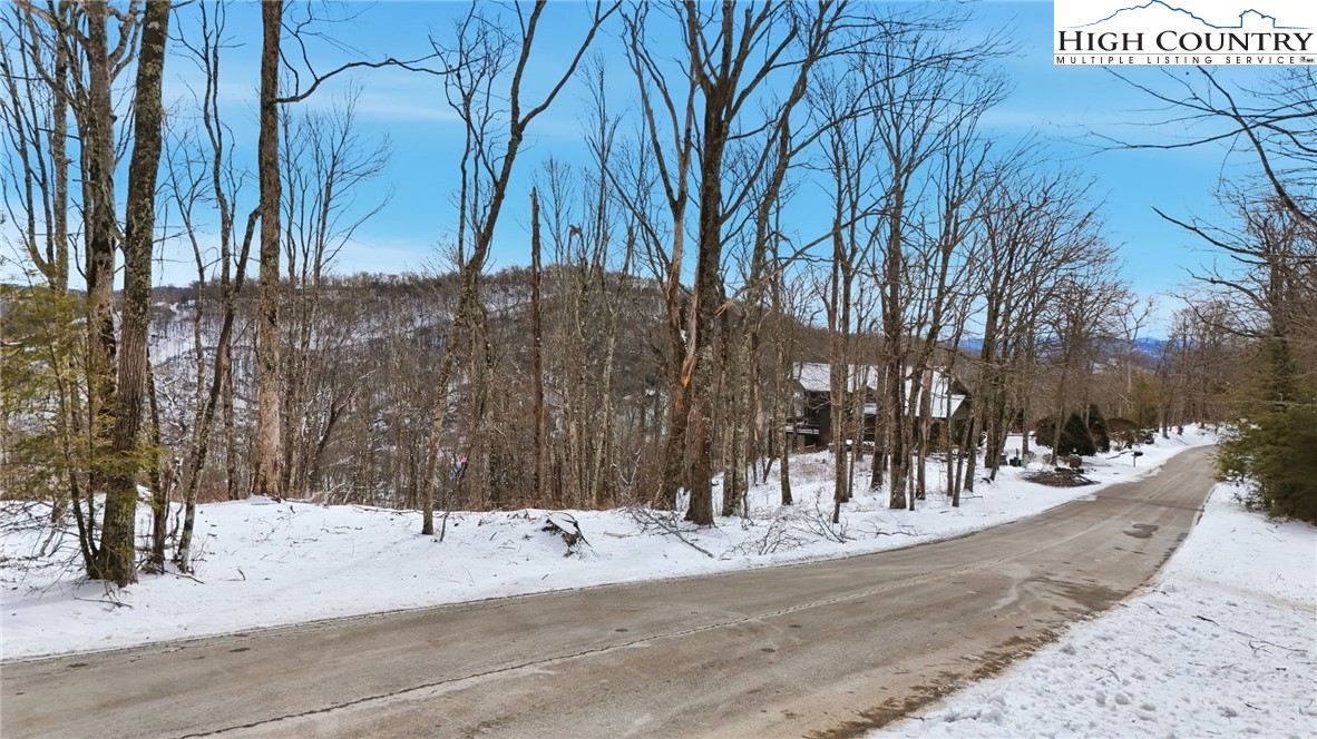 Lot 38 Summit Park Drive Property Photo 2
