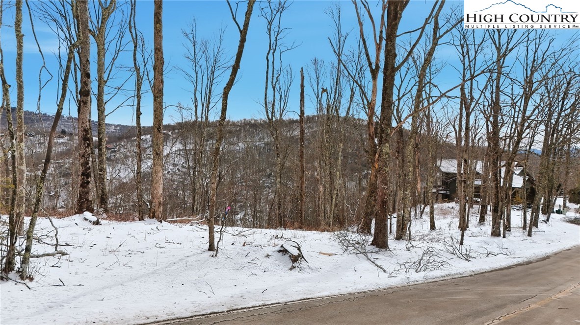 Lot 38 Summit Park Drive Property Photo 3