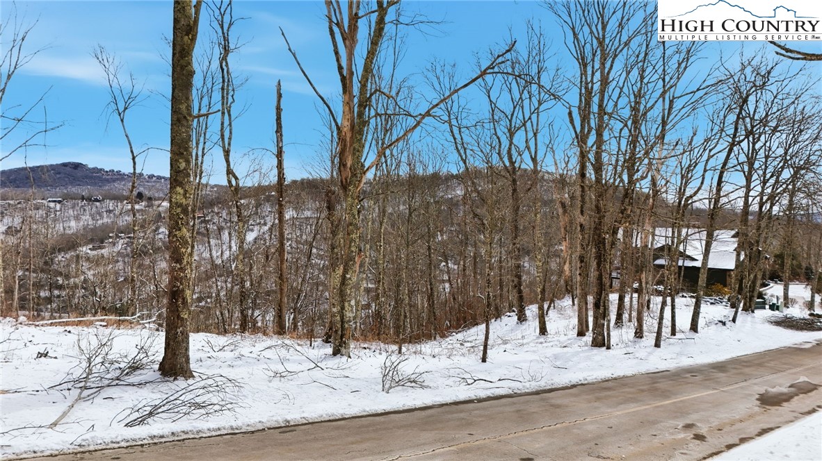 Lot 38 Summit Park Drive Property Photo 4
