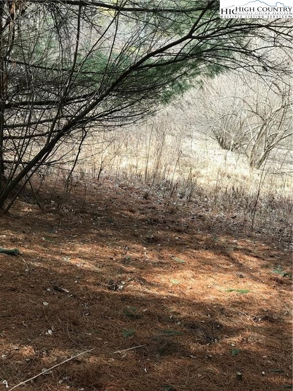 Tbd Deer Path Road Property Photo 1