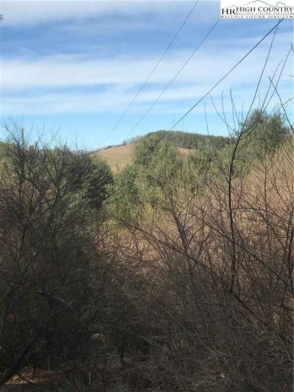 Tbd Deer Path Road Property Photo 3