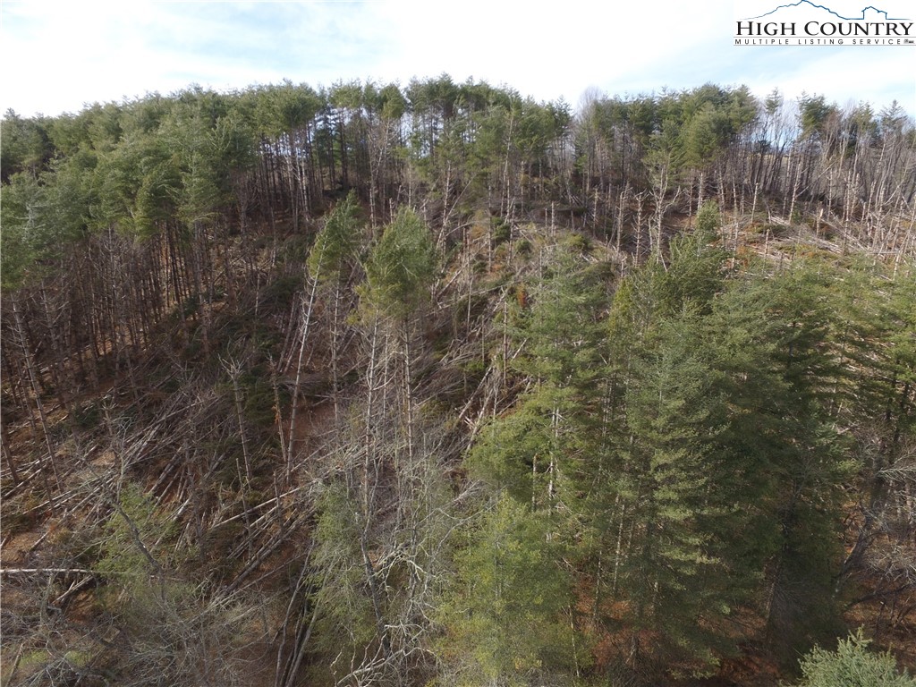 Tbd Deer Path Road Property Photo 4