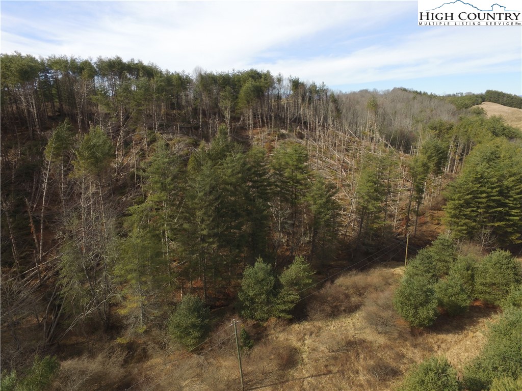Tbd Deer Path Road Property Photo 8