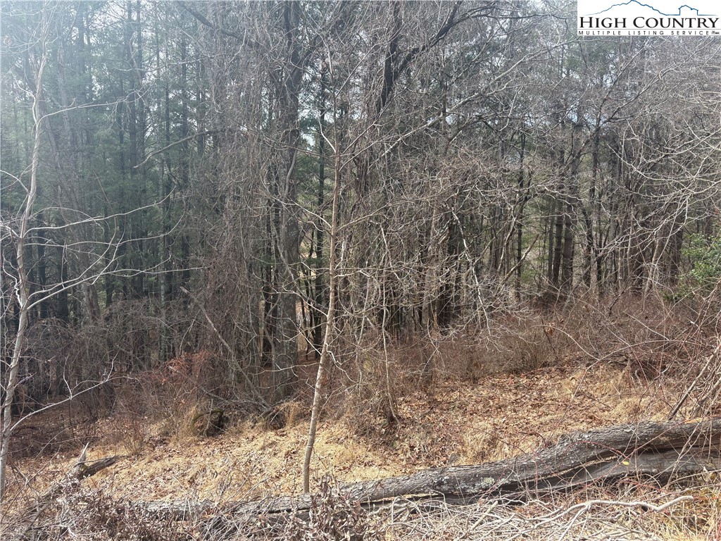 TBD 6-K River Run Lane Property Photo 1