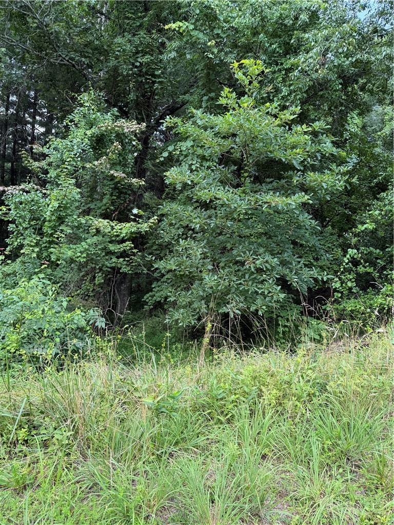 Tbd 6-k River Run Lane Property Photo 1