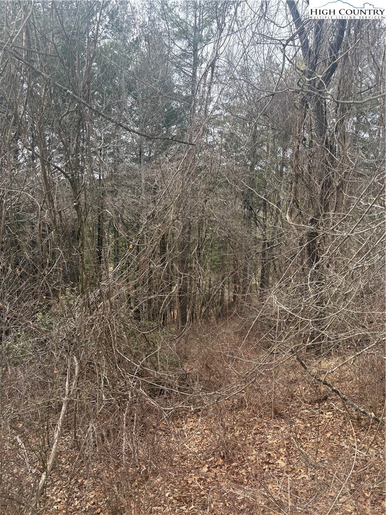 Tbd 6-k River Run Lane Property Photo 3