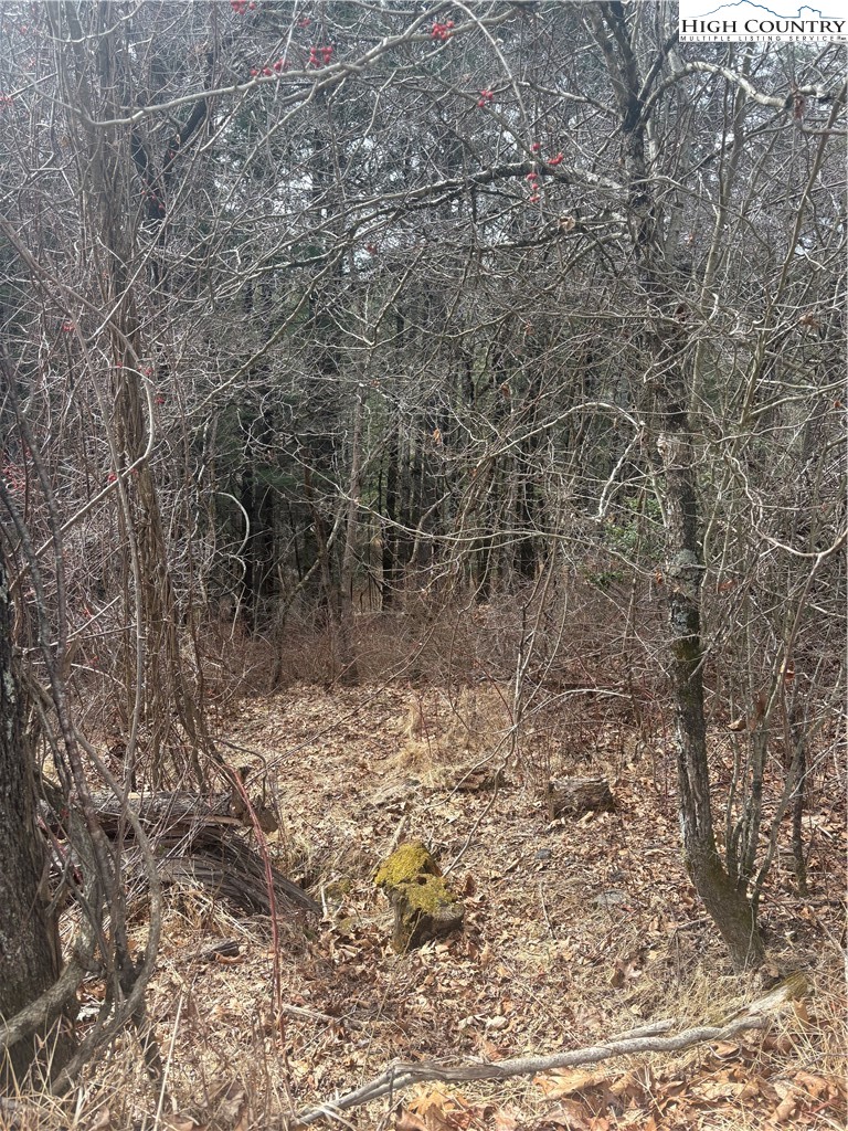 Tbd 6-k River Run Lane Property Photo 4