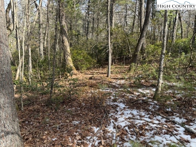 TBD Lot 18 Walden Lane