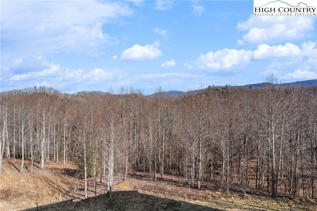 171 Pleasant View Drive Property Photo 19
