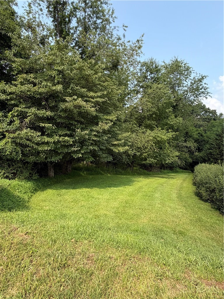 Tbd 4-k River Run Lane Property Photo 1