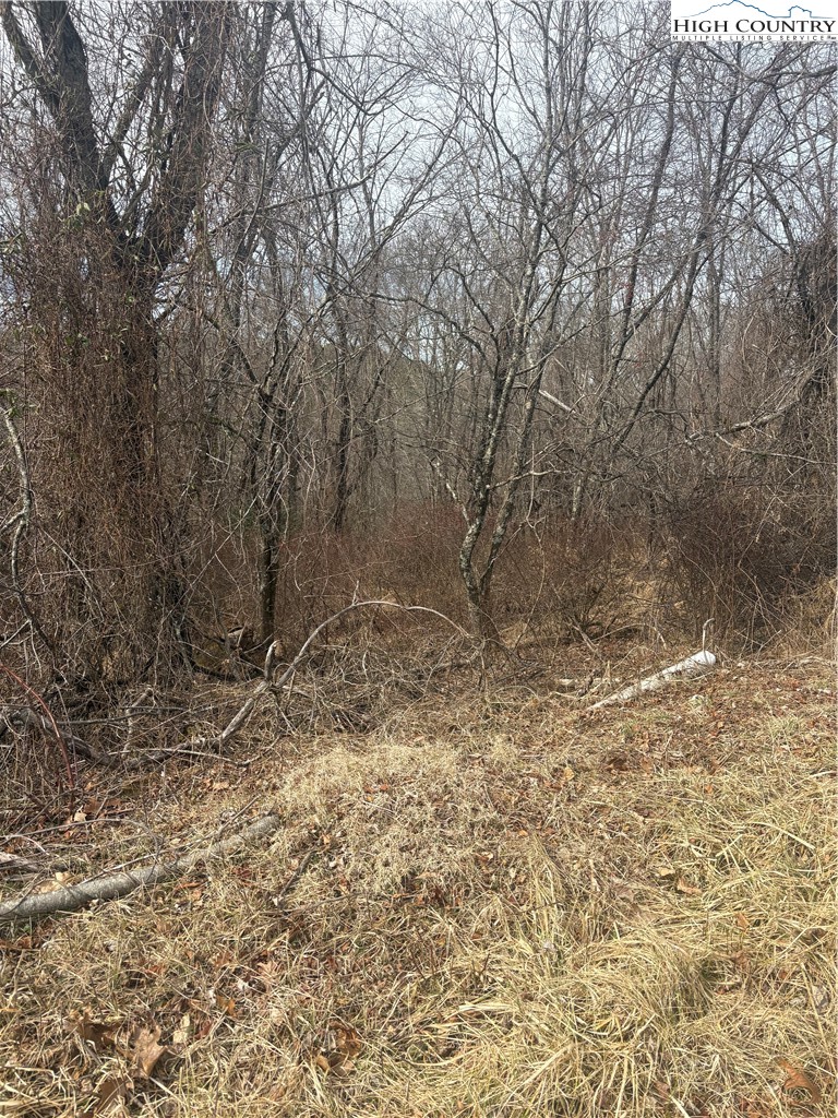 Tbd 4-k River Run Lane Property Photo 2