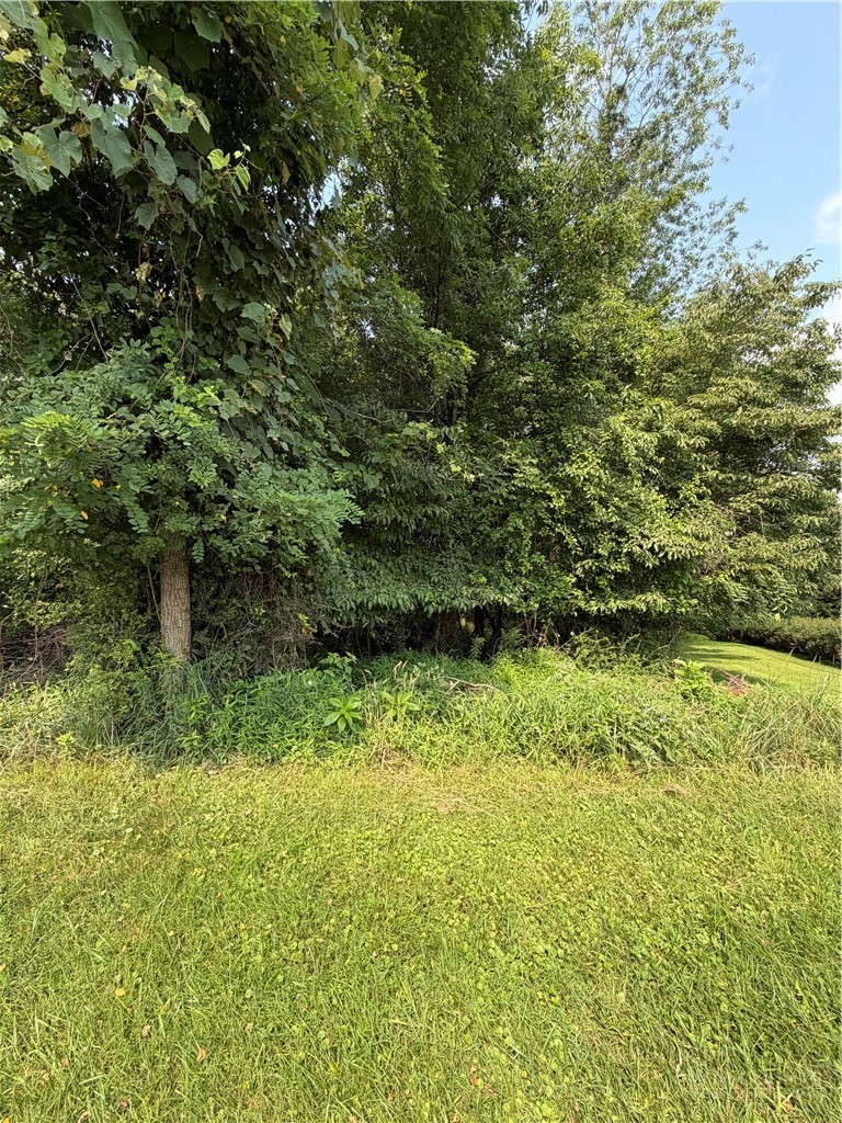Tbd 4-k River Run Lane Property Photo 2