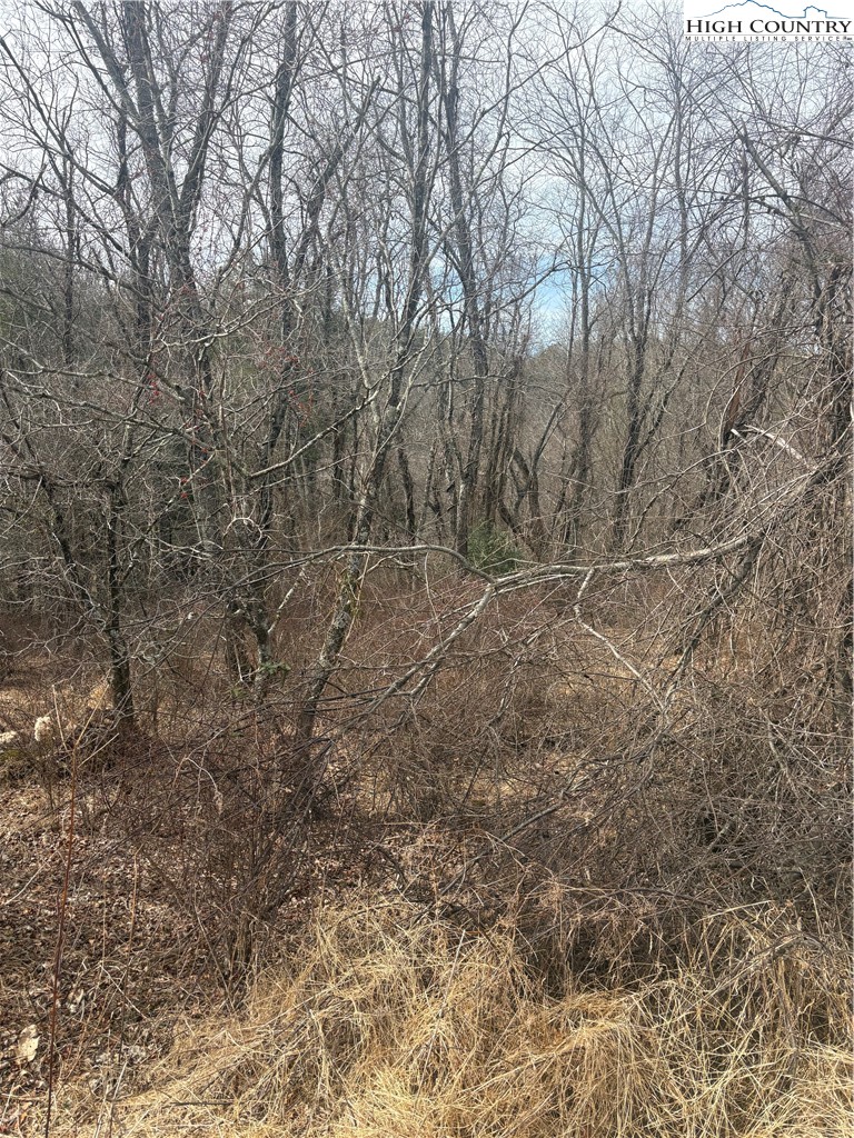 Tbd 4-k River Run Lane Property Photo 4