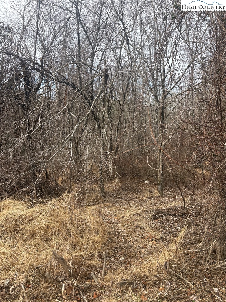 Tbd 4-k River Run Lane Property Photo 5