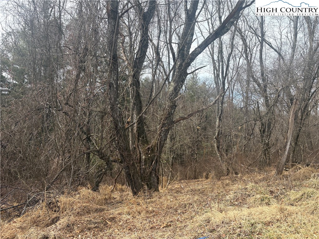 TBD 5-K River Run Lane Property Photo 1