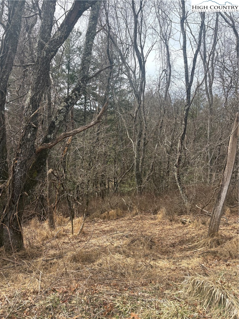 Tbd 5-k River Run Lane Property Photo 6