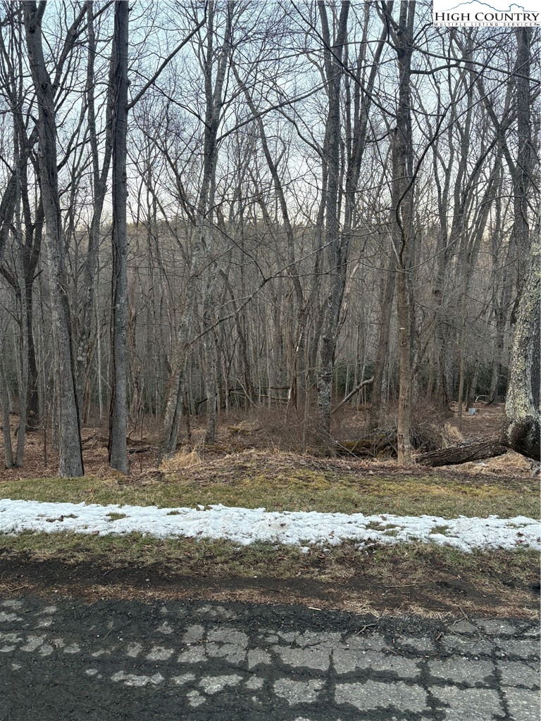 Tbd 3-d Silo Road Property Photo 4