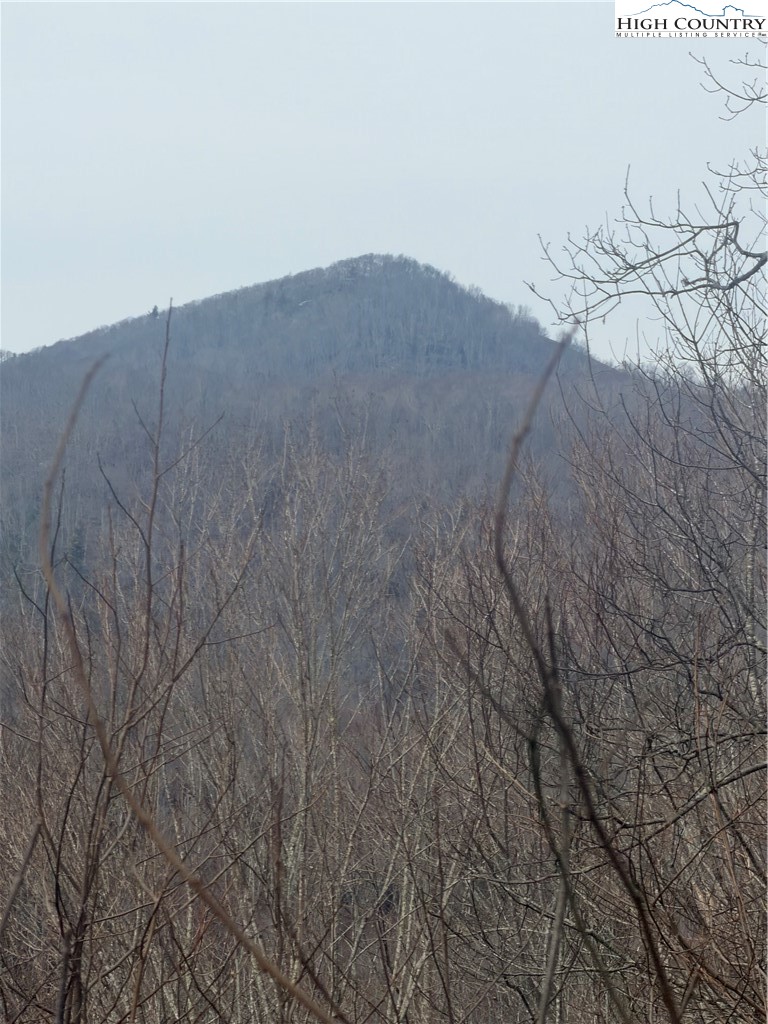 TBD Larkspur Trail