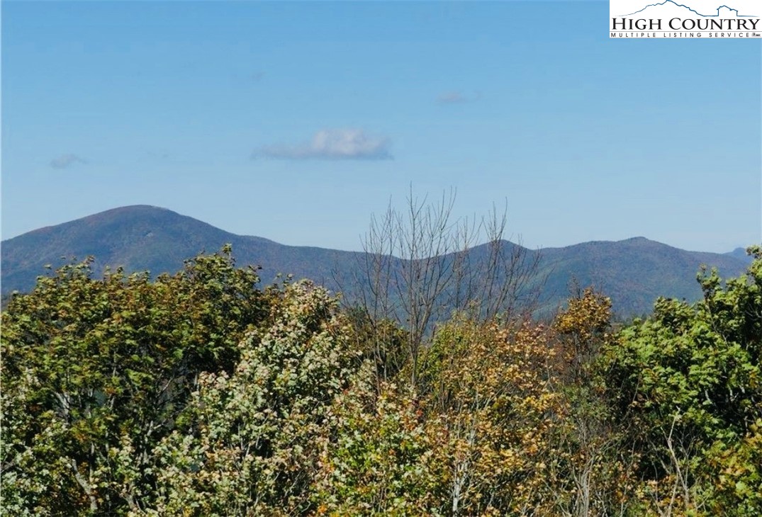 TBD Fire Tower Road Road Property Photo 1