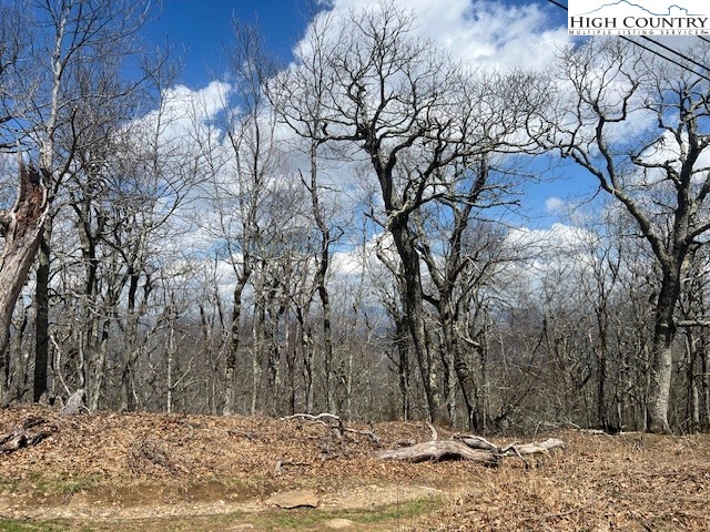 Tbd Fire Tower Road Road Property Photo 2