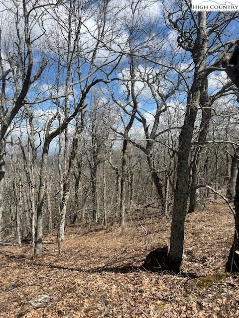 Tbd Fire Tower Road Road Property Photo 3